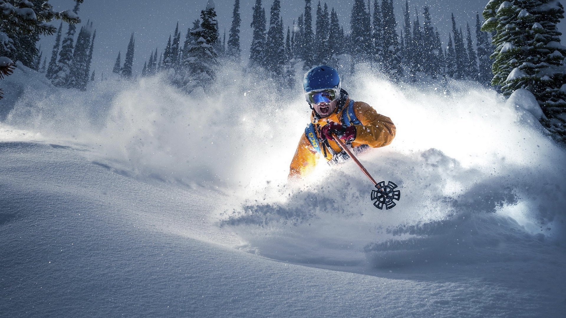 世界短跑联赛：接力项目成为看点，世界短跑比赛